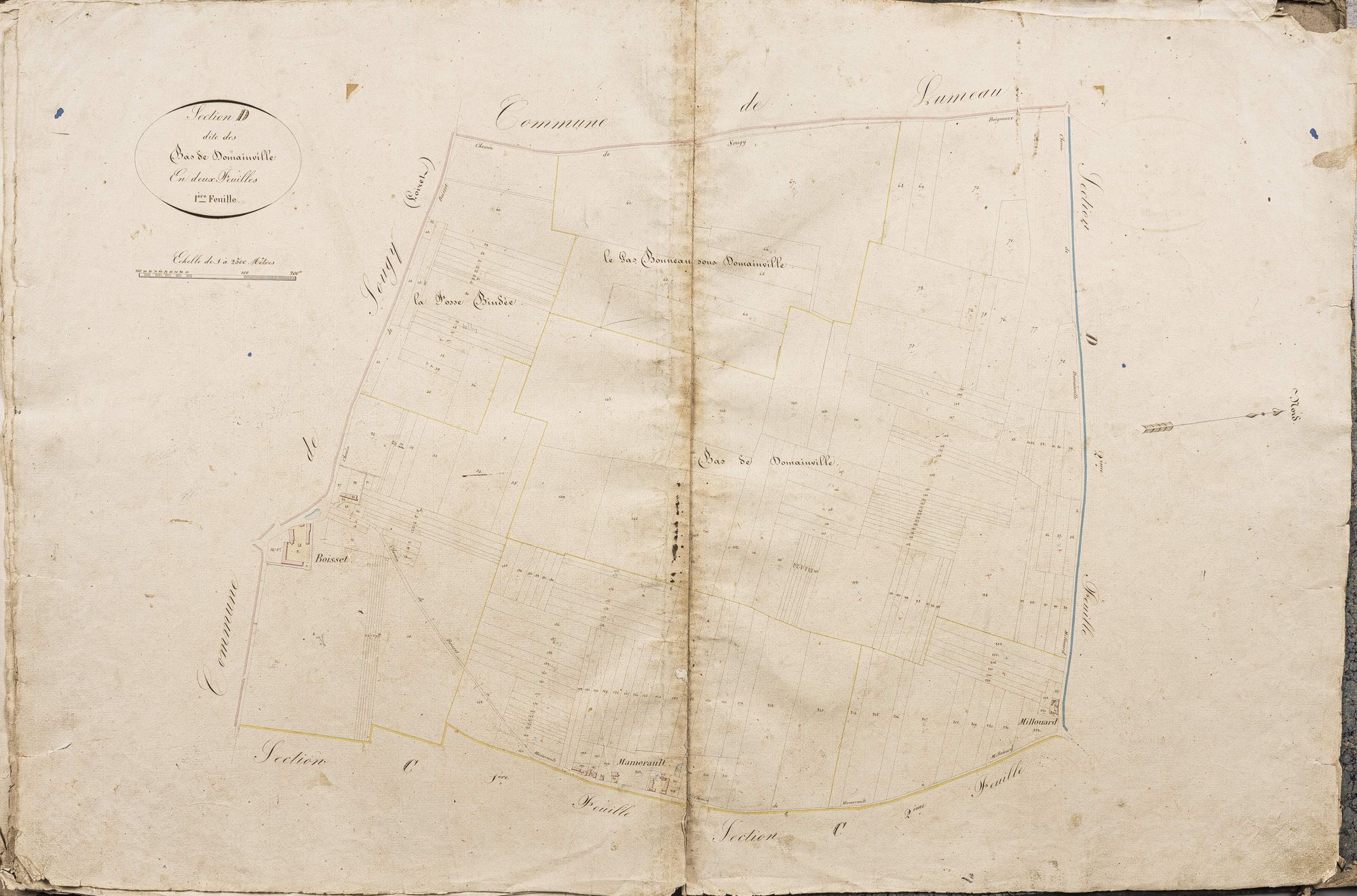 Section D, les Bas de Domainville, feuille 1.