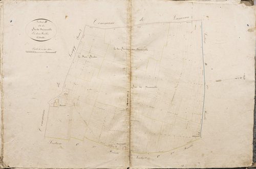 Section D, les Bas de Domainville, feuille 1.