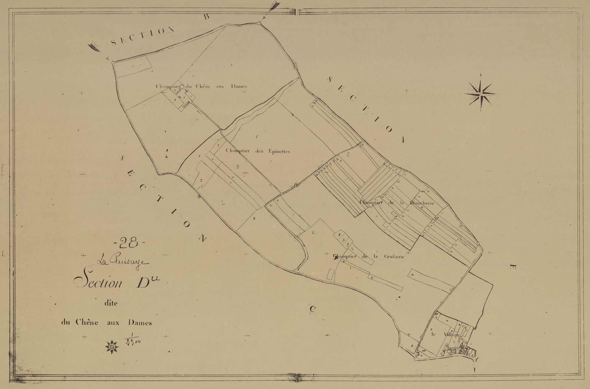 Section D, le Chêne aux Dames, en une feuille.