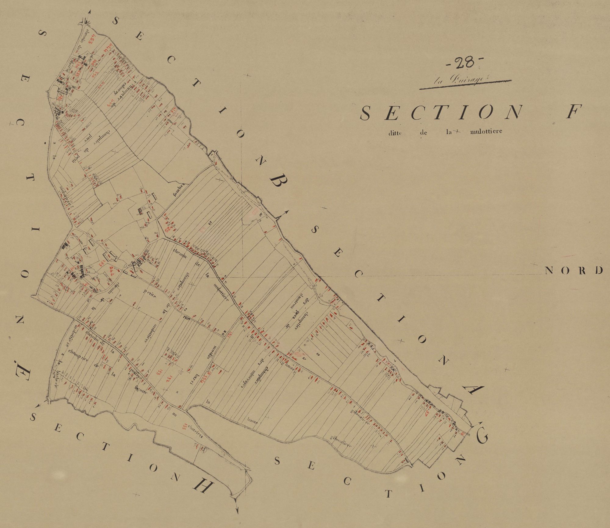 Section F, la Milotière, en une feuille.