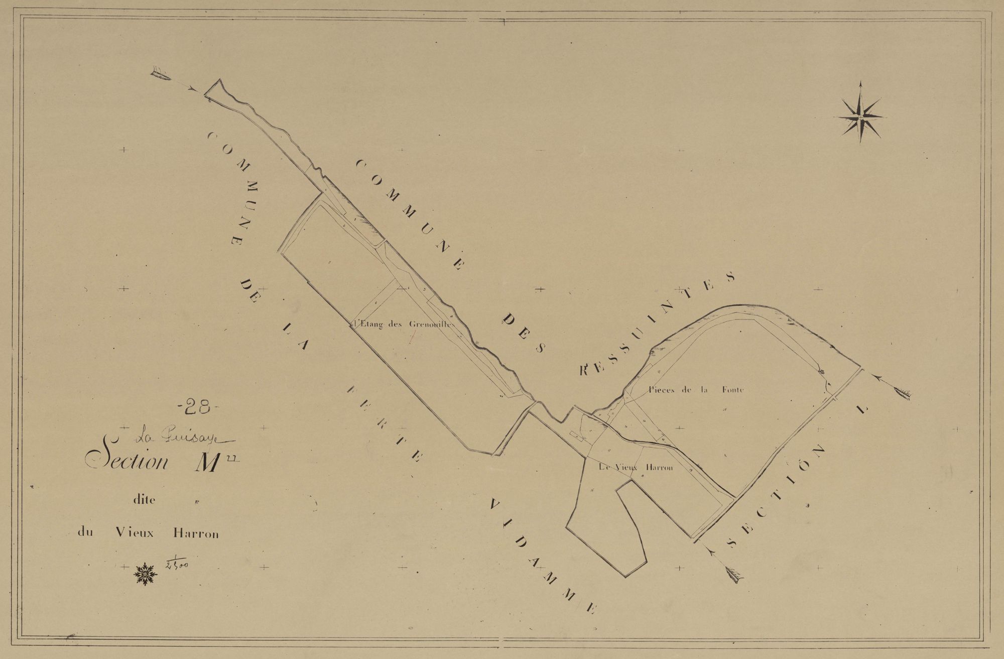 Section M, le Vieux Harron, en une feuille.