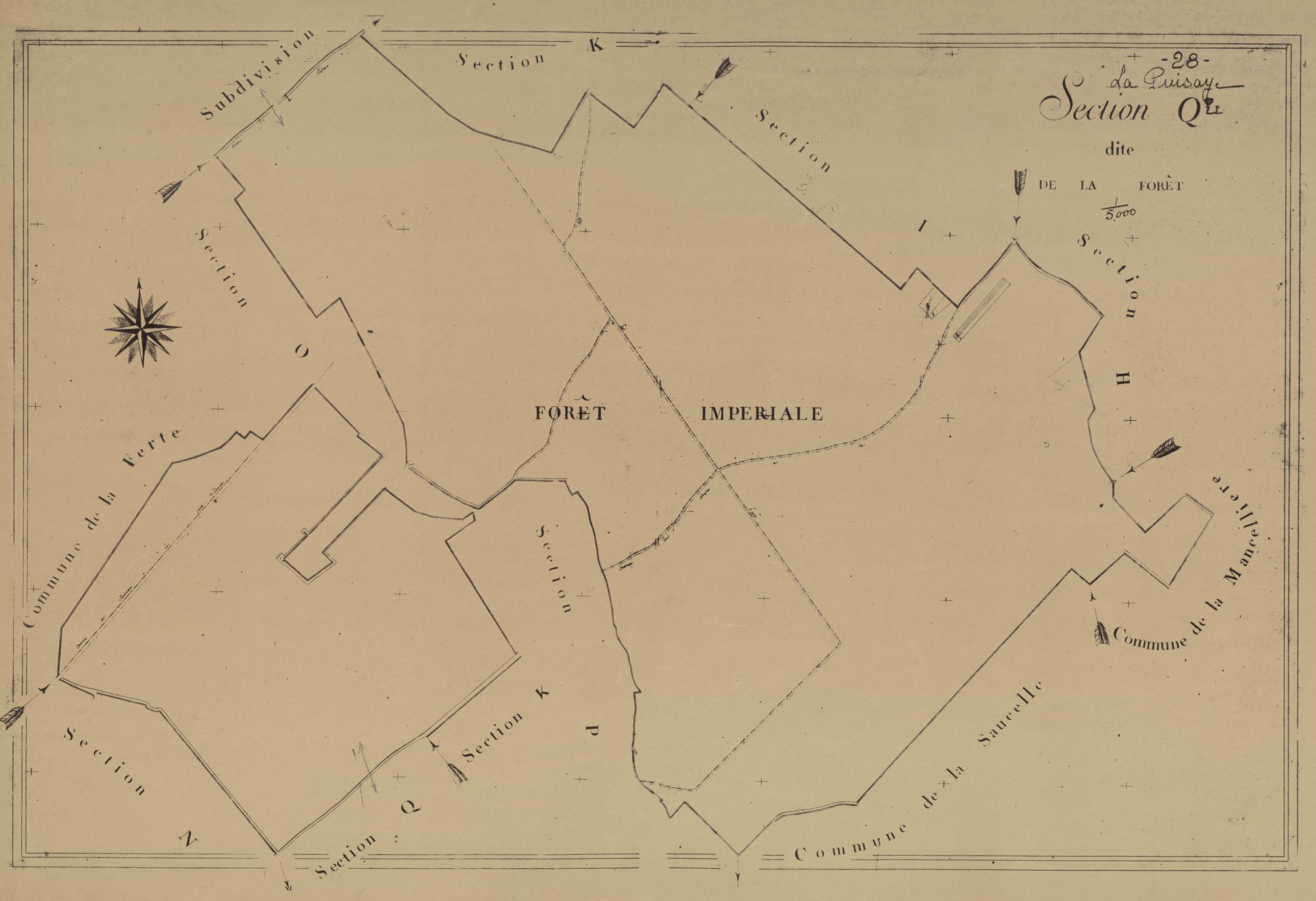 Section Q, la Forêt, en une feuille.
