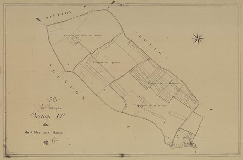 Section D, le Chêne aux Dames, en une feuille.