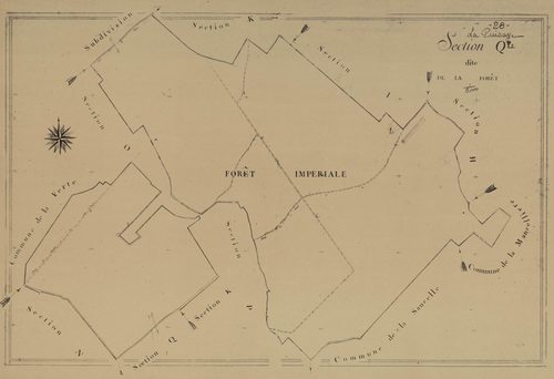 Section Q, la Forêt, en une feuille.