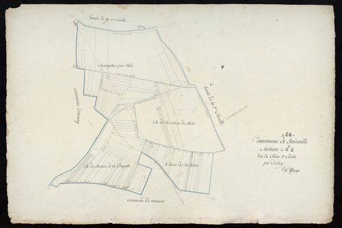 Section A, le Chêne, feuille 2.