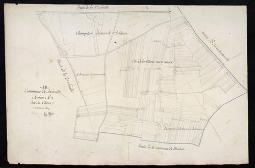 Section A, le Chêne, feuille 3.