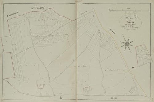 Section A, le Chêne, feuille 1.