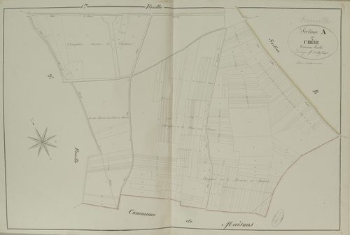 Section A, le Chêne, feuille 3.