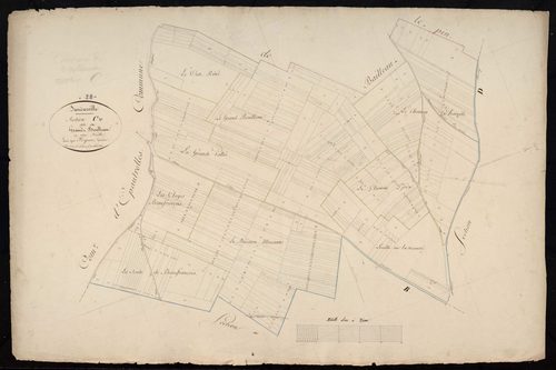 Section C, le Grand-Boulleau, en une feuille / Terminée par Monsieur Forgean, Géomètre.