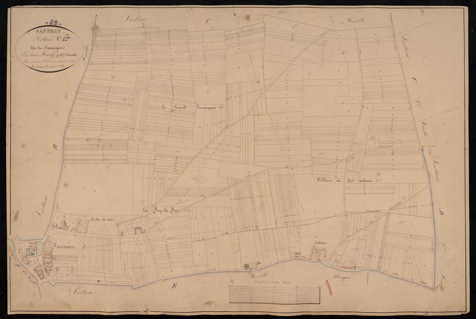 Section C, Sauvageon, feuille 1.