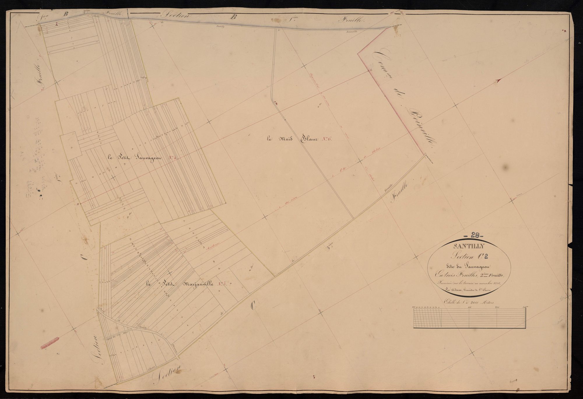 Section C, Sauvageon, feuille 2.