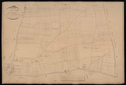 Section C, Sauvageon, feuille 1.