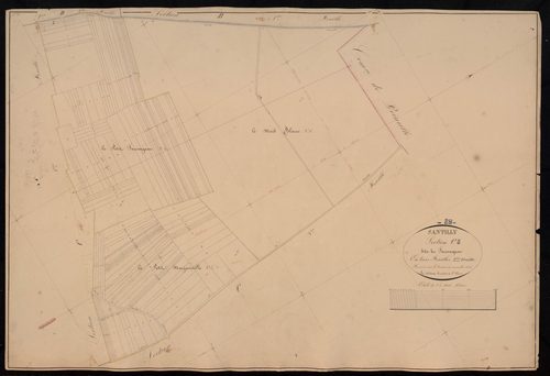 Section C, Sauvageon, feuille 2.
