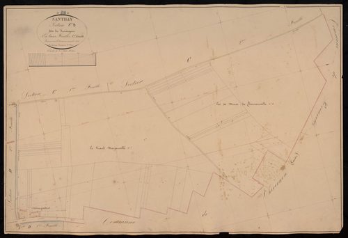 Section C, Sauvageon, feuille 3.