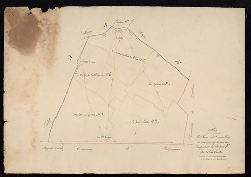 Tableau d'assemblage des cantons, triages, ou lieux-dits composant la section F, le Bas d'Eards.