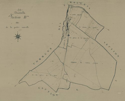Section B, la Petite Saucelle, en une feuille.