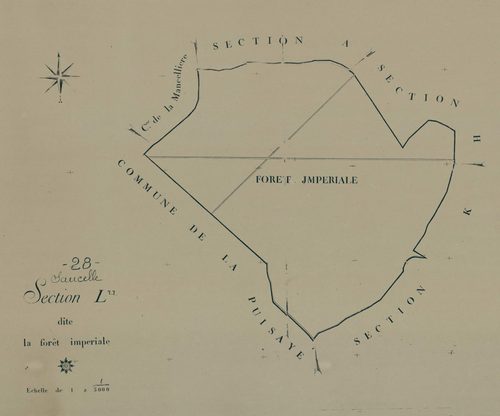 Section L, la Forêt Impériale, en une feuille.