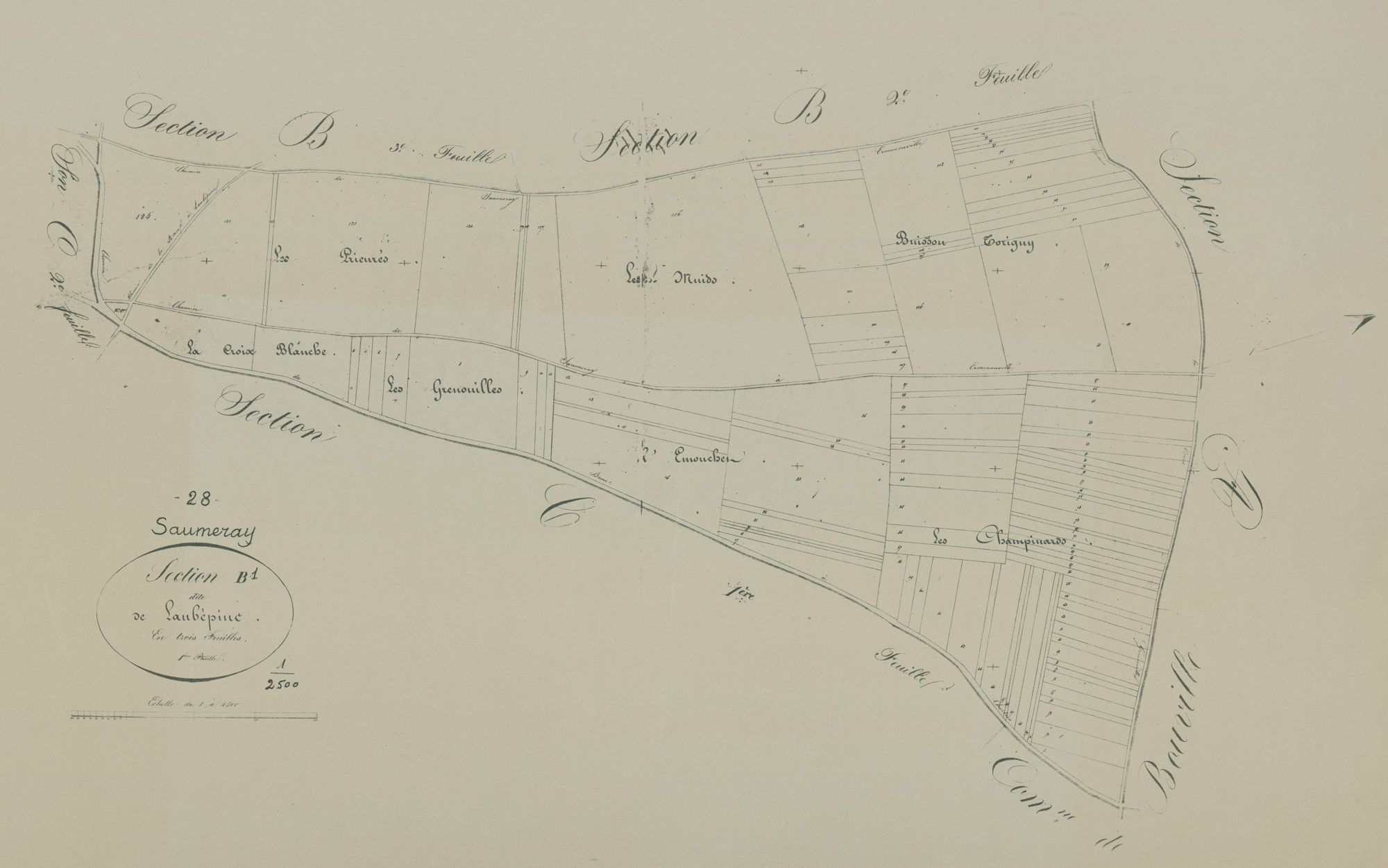 Section B, Laubépine, feuille 1.