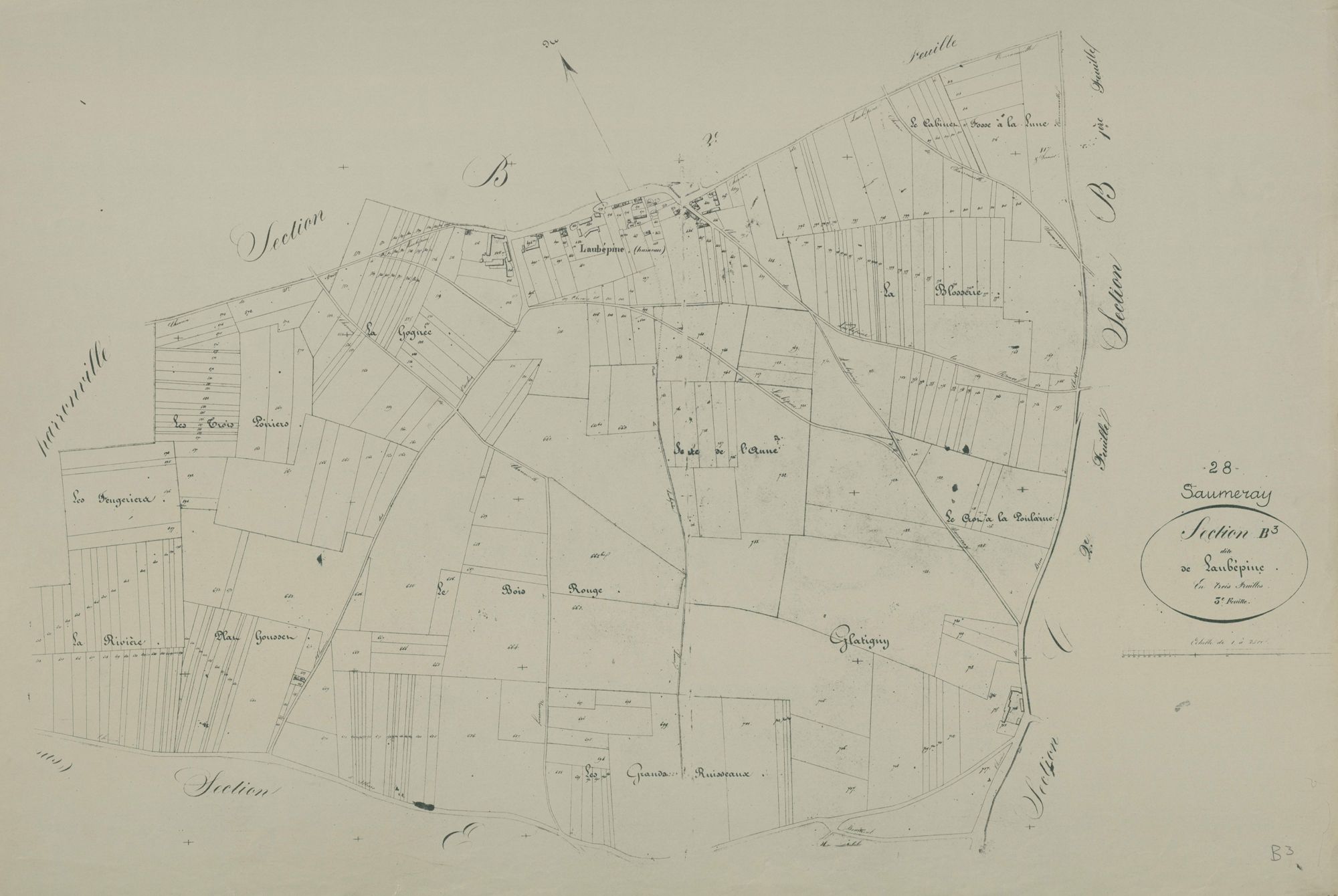 Section B, Laubépine, feuille 3.