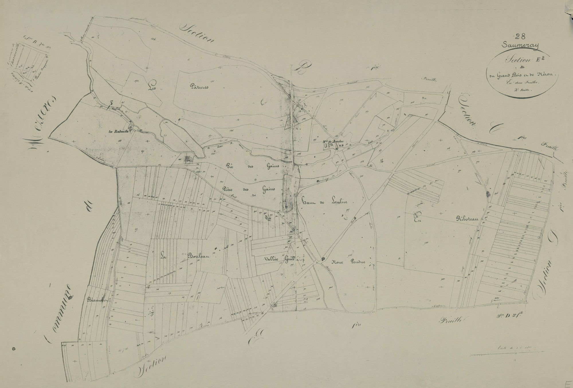 Section E, le Grand Bois et Néron, feuille 2.
