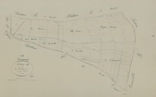Section B, Laubépine, feuille 1.
