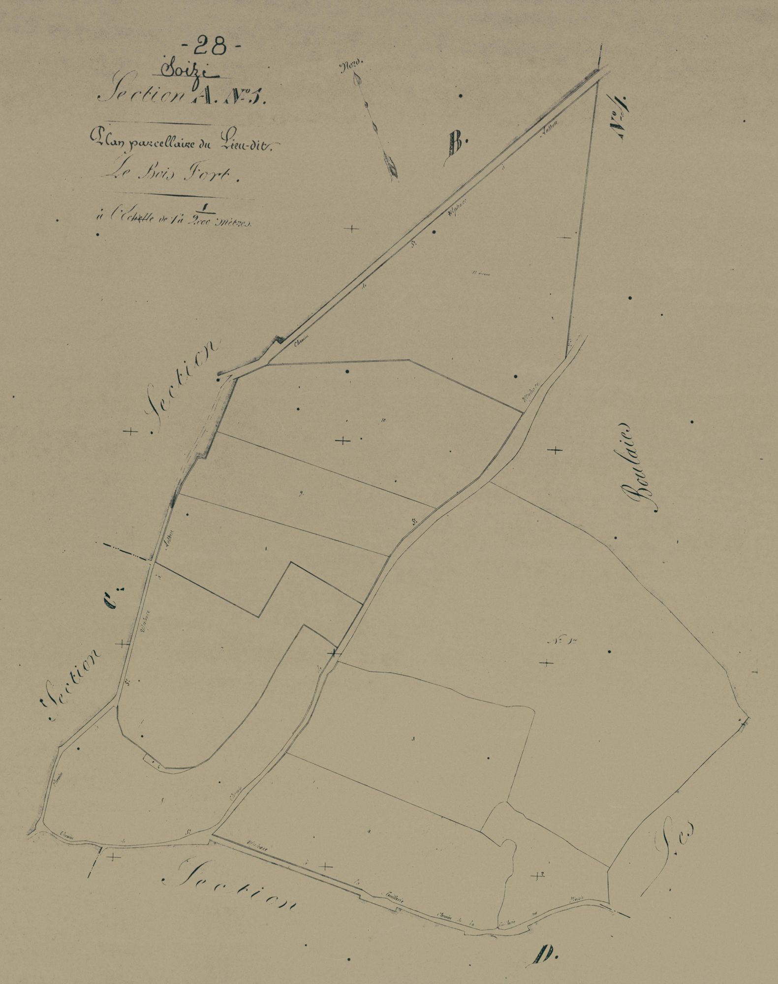 Section A, le Bois Fort, feuille 5.