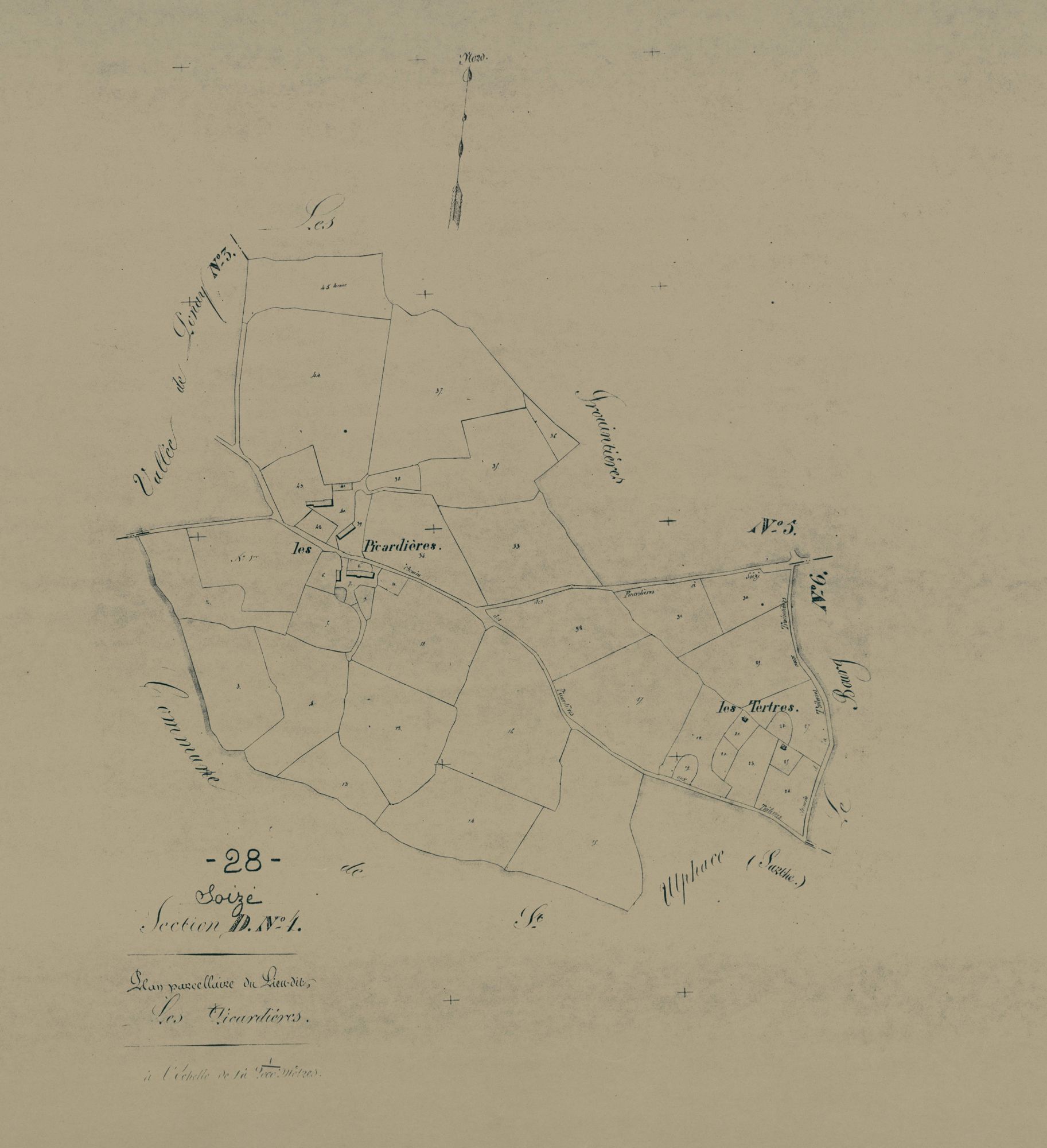 Section D, les Picardières, feuille 4.