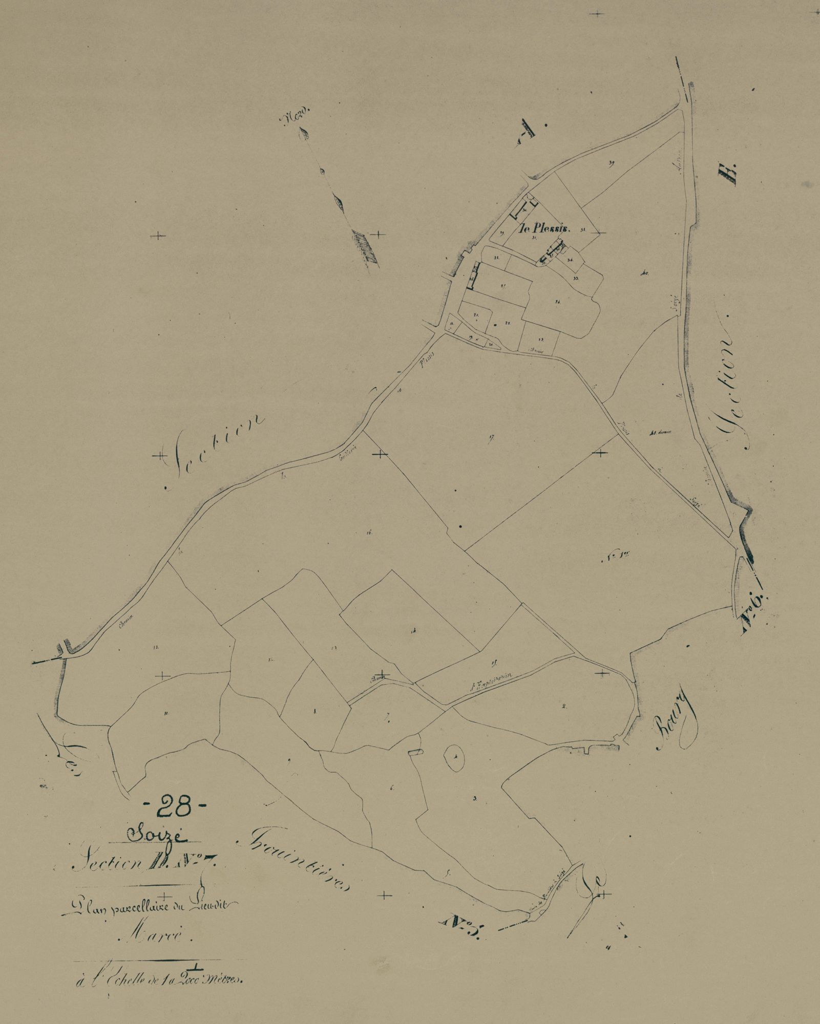 Section D, Marée, feuille 7.