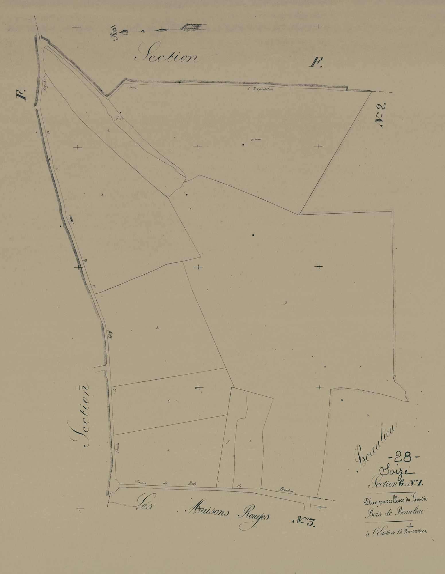 Section G, Bois de Beaulieu, feuille 1.