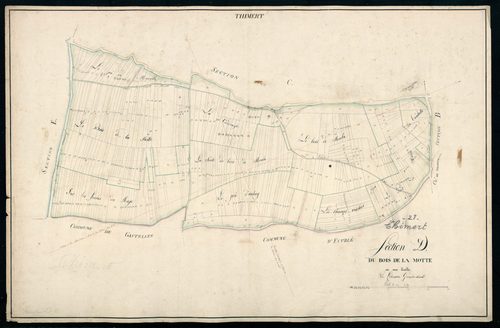 Section D, le Bois de la Motte, en une feuille.