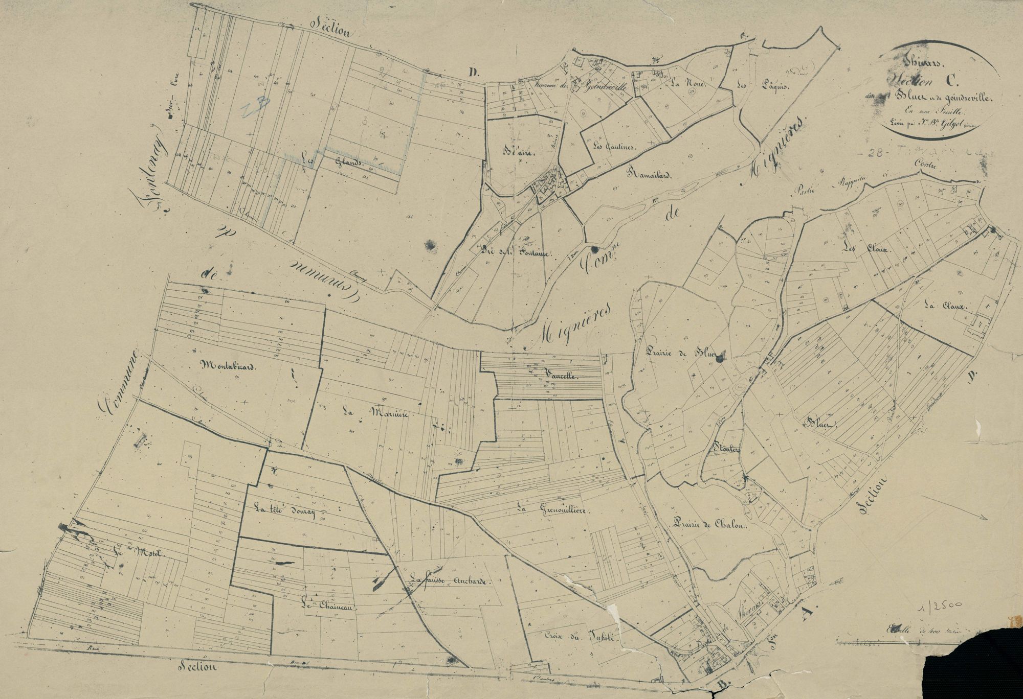 Section C, Bleuet de Goindreville, en une feuille.