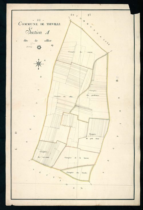 Section A, Sellier.