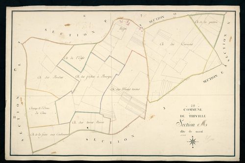 Section M, Nozai.
