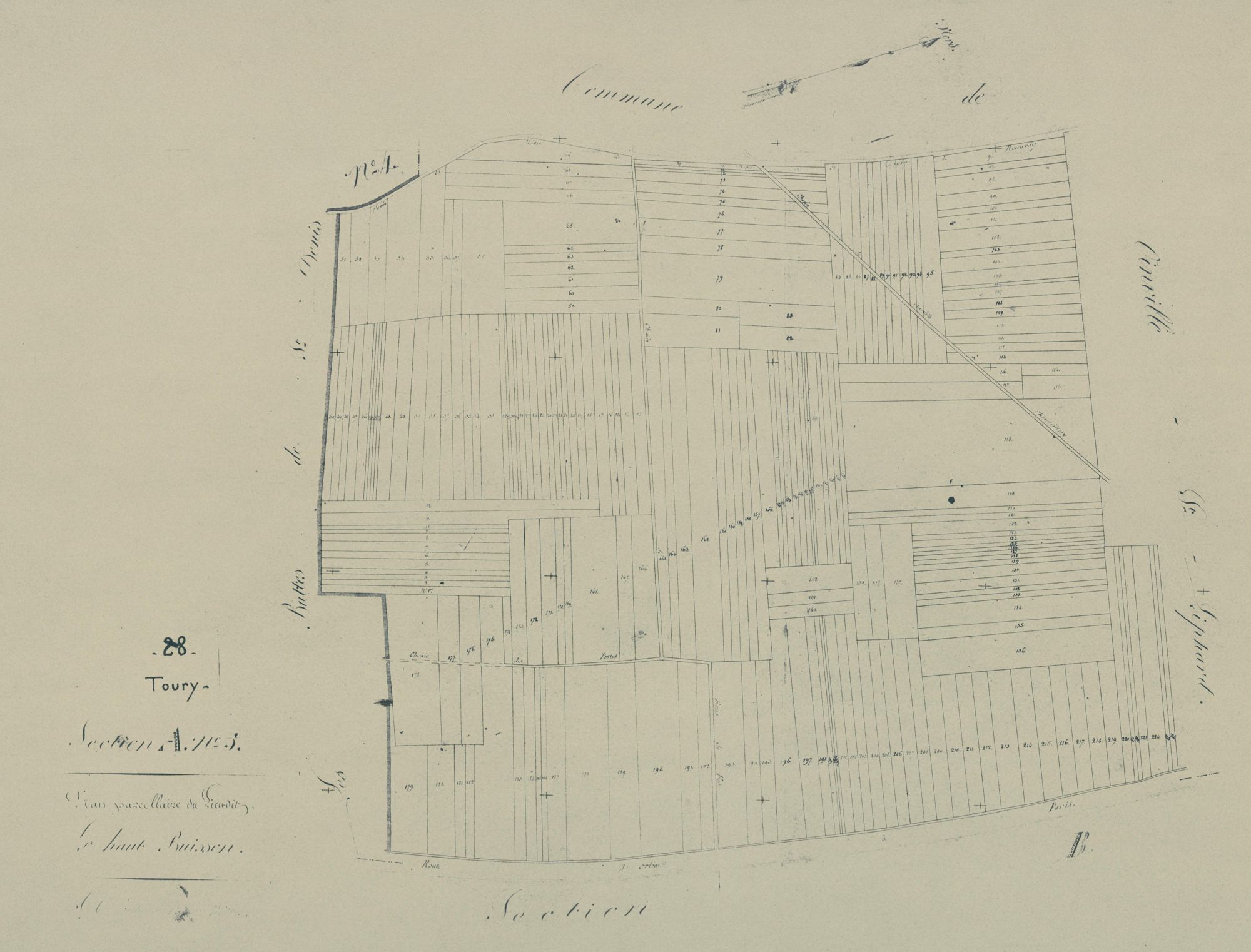 Section A, le Haut Buisson, feuille 5.
