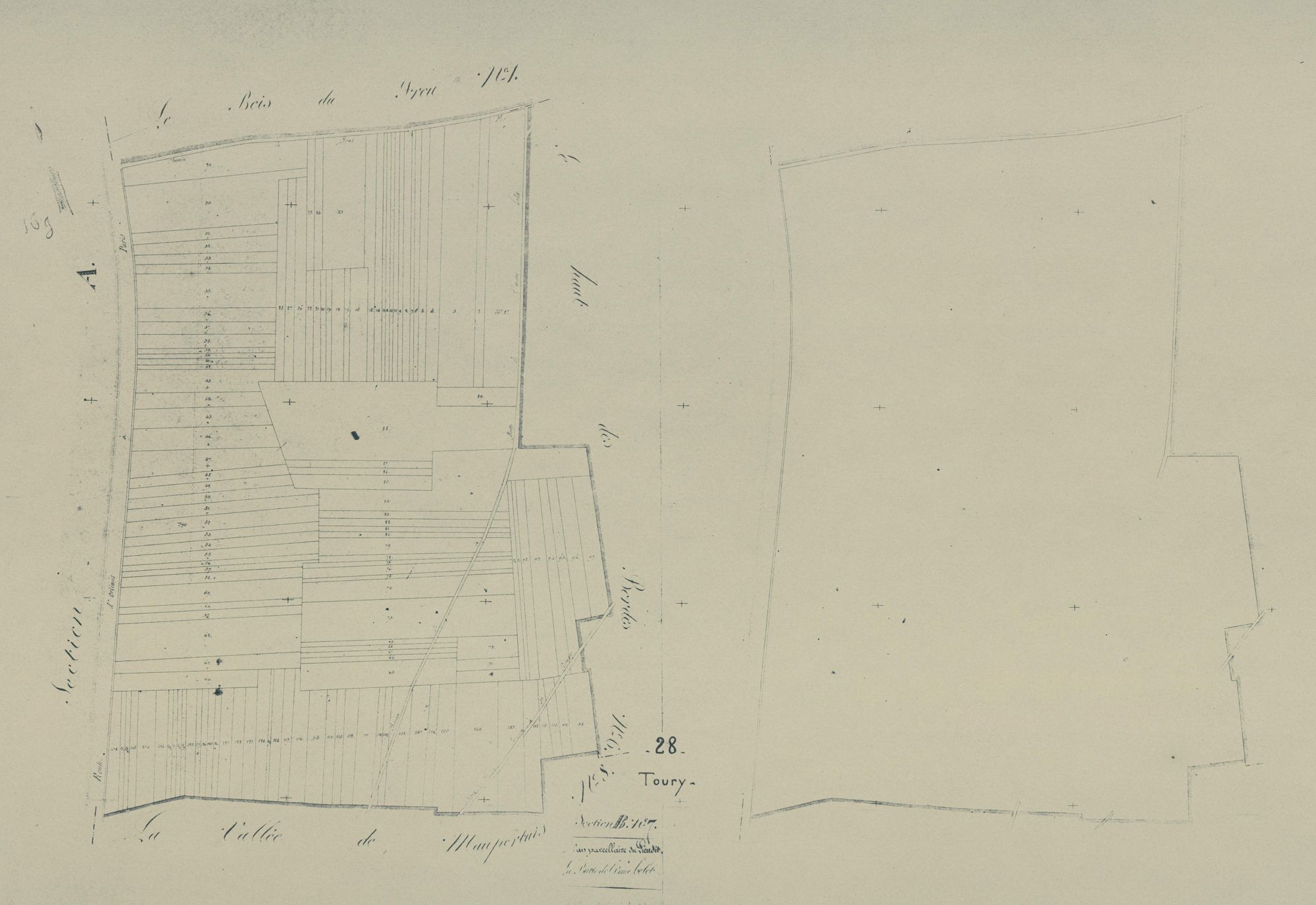 Section B, la Butte de l'Orme Celet, feuille 7.