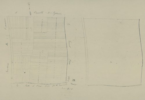 Section B, le Bois du Frou, feuille 1.