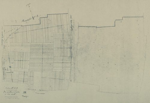 Section C, le Clos Hallé, feuille 2.