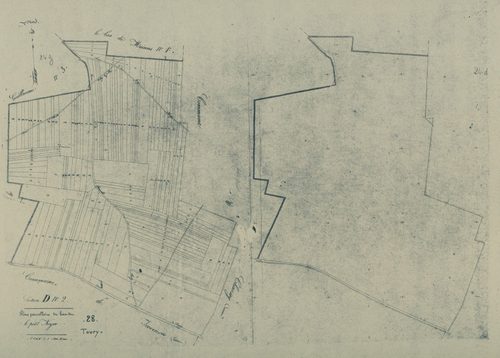 Section D, le Petit Noyer, feuille 2.