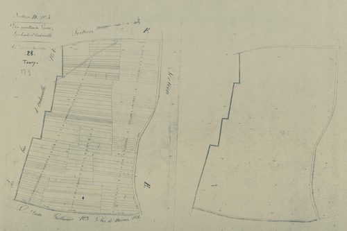 Section D, les Hauts d'Ondreville, feuille 5.
