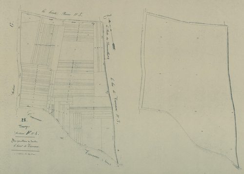 Section F, le Haut de Tivernon, feuille 4.
