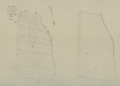 Section F, la Haute Borne, feuille 5.