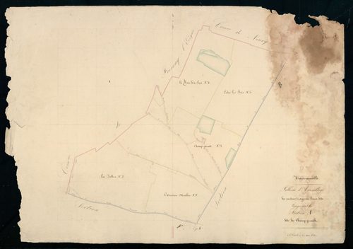 Tableau d'assemblage des cantons, triages ou lieux-dits composant la section A, Champ-Girault.