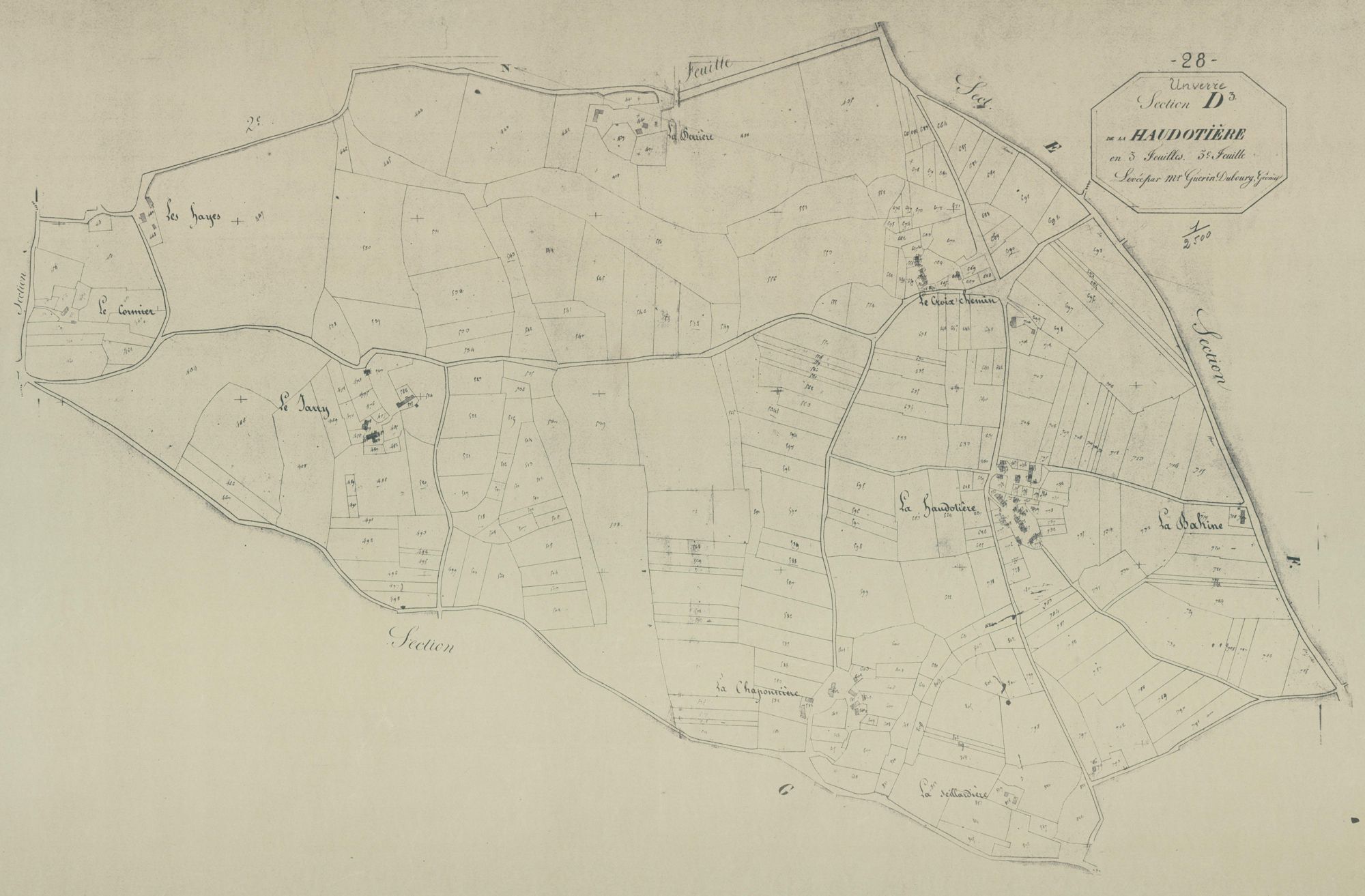Section D, la Haudotière, feuille 3.