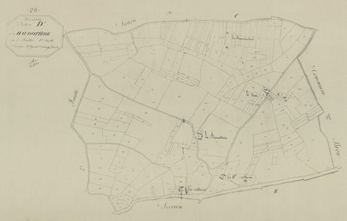 Section D, la Haudotière, feuille 1.
