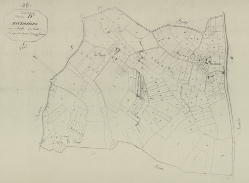 Section D, la Haudotière, feuille 2.