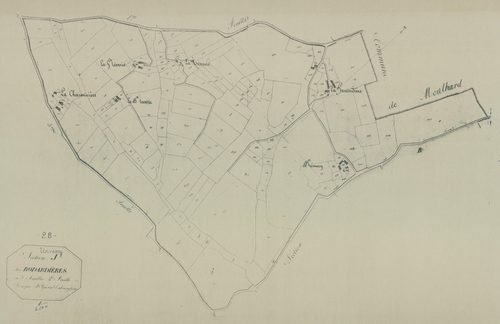 Section J, les Bodardières, feuille 2.
