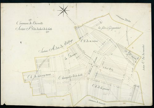 Section B, le Bois de la Belle.