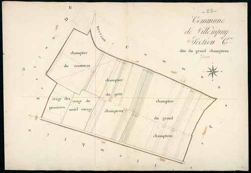 Section C, le Grand Champteux, en une feuille.