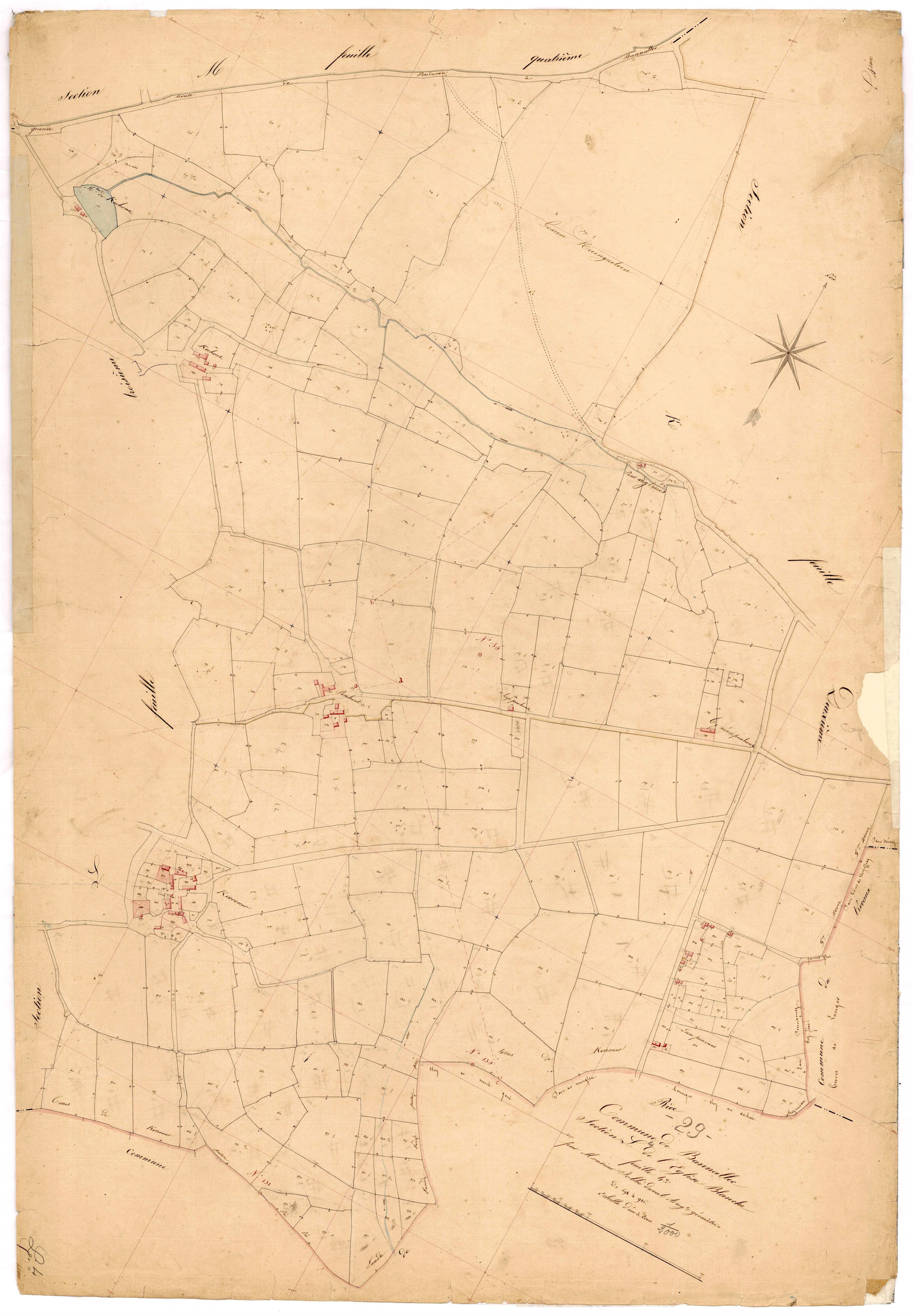 Section L 4 de l'Eglise Blanche.