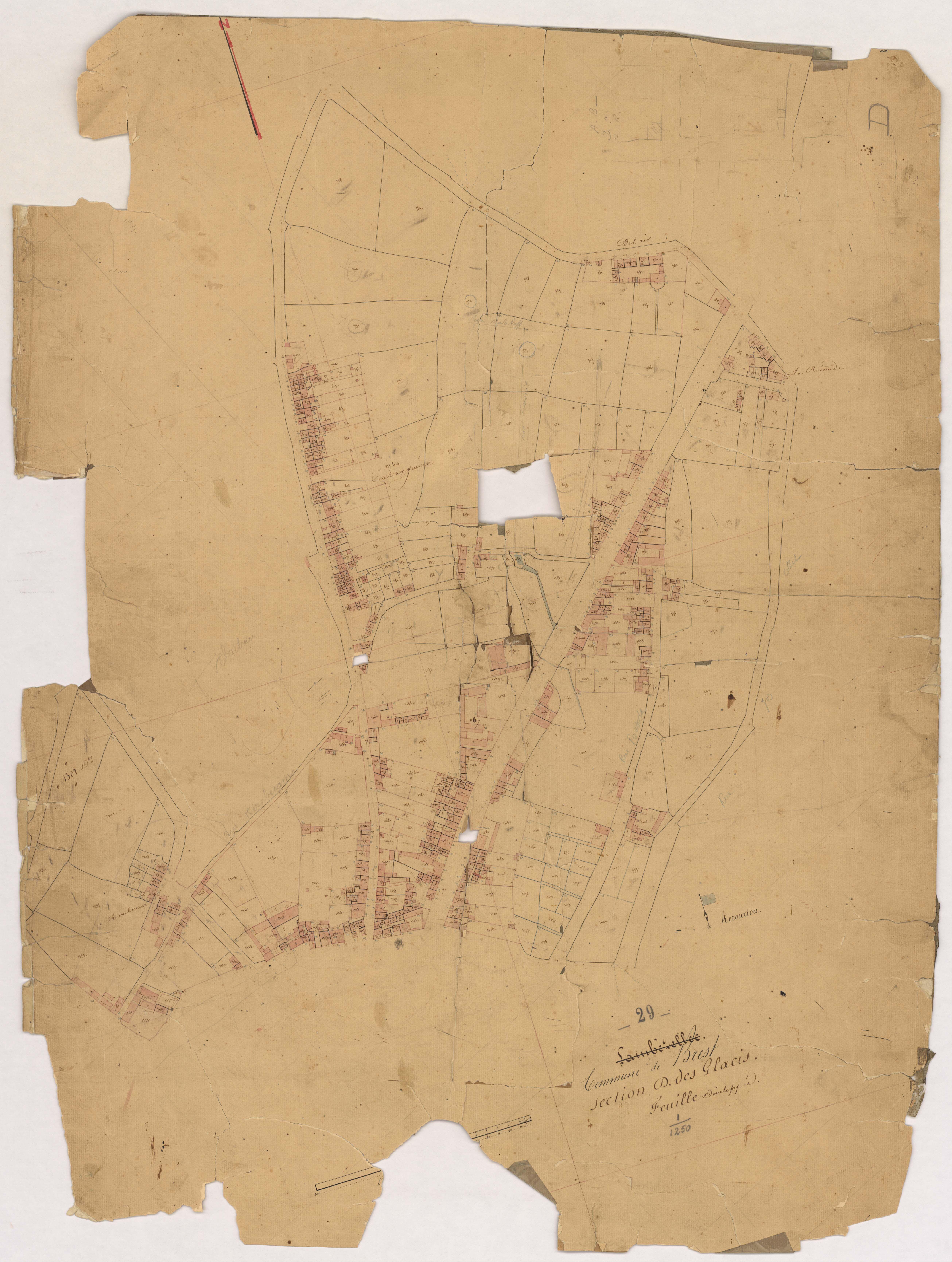 Section D des Glacis (développement).
